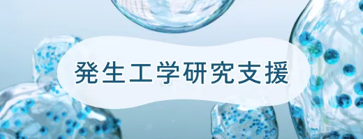 発生工学研究支援